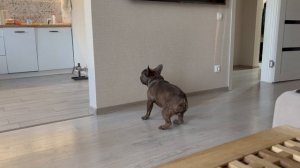 Дурачимся с Жориком