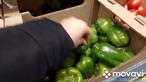 Выгодное предложение и цены