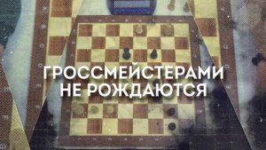 Гроссмейстерами не рождаются (автор Светлана Николаевна Антимонова, г. Новосибирск)