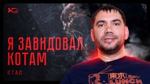 «Я ЗАВИДОВАЛ КОТАМ». СТАС.🟦 История  жизни.