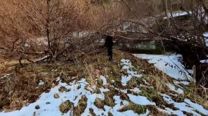 В поисках заброшенной мельницы на Льнихе
#ШаШаШу #ДачнаяЖизнь #Льниха