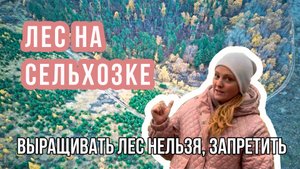 Лес на сельхозке - выращивать нельзя, запретить?