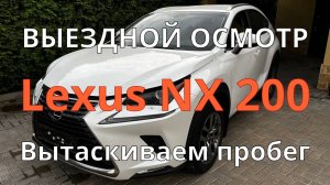 Lexus NX 200 / Проверка пробега / Хорошее состояние / Черный ящик / Царапины и подкрасы