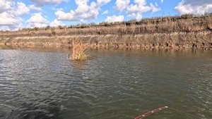 Дон. Осенний троллинг.