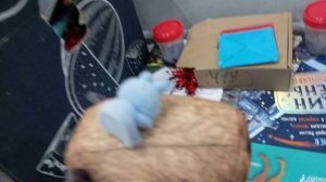 блопшоу 1 сезон 3 серия радужная лихорадка#блоптоп