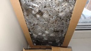 27 октября, в зашли томаты, нож с озон