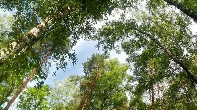 закрою дверь