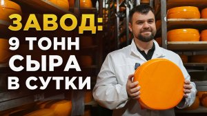 Как производят СЫР на заводе в России от фермы до стола – Углич УСМЗ, Музей СырКультПросвет