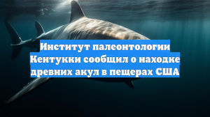 Институт палеонтологии Кентукки сообщил о находке древних акул в пещерах США