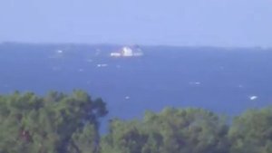 Мимоходец. Пицунда.08 10 2015. 07;59.  00154