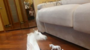 клип я жду героя