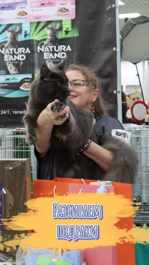 Разбор подарков