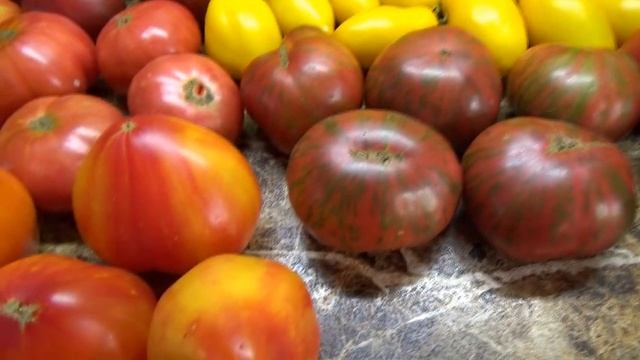 Томатный Гном Банановые пальчики. Подробный обзор и дегустация сорта.