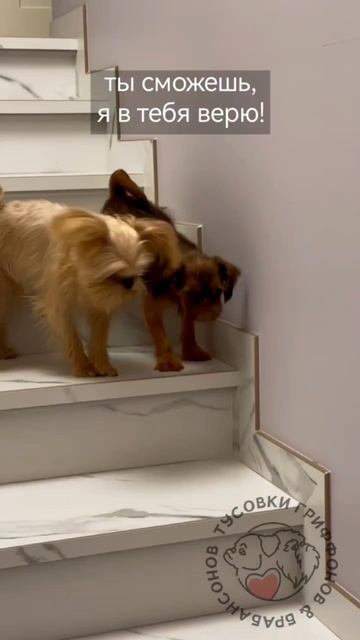 Дружба оно такое смотреть онлайн