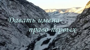 Давать имена - право первых (автор Светлана Николаевна Антимонова, г. Новосибирск)