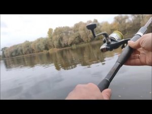 Рыбалка на Дону, мкр. Малышево, около Понтонного моста , г.Воронеж, 11.10.2025