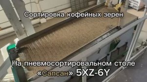 Сортировка кофейных зерен на пневмосортировальном столе Сапсан