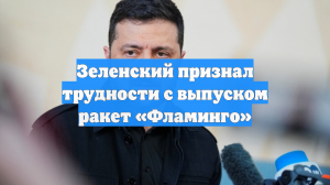 Зеленский признал трудности с выпуском ракет «Фламинго»