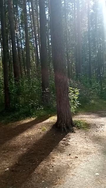 Сысерть — родина уральской сказки Свердловская область. г. Сысерть