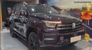 Tank 400 Hi4-Z обзор версии из Китая