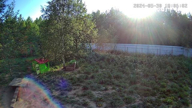 Выгул 💝💝💝💝 смотреть онлайн