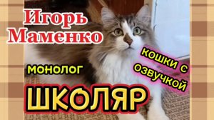 КОШКИ С ОЗВУЧКОЙ.