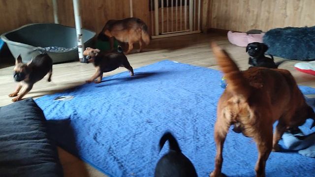 Соля с малышами смотреть онлайн