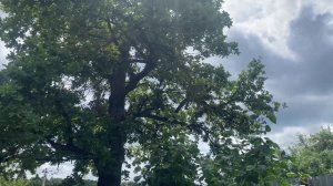 Паломничество по святым местам Калужской земли (сюжет)