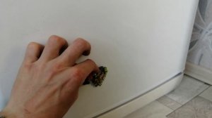 Котёл (5 Серия)