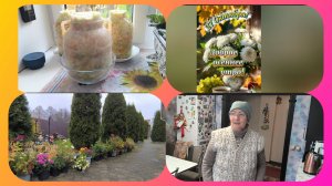 27-10-2025г.Жизнь в деревне 🏡Насолили хрустящей капусты.
