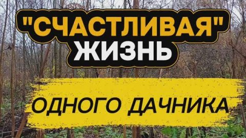 Заброшка на краю поля в зарослях 😲