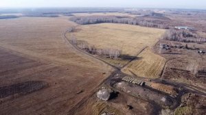 д. Тёмная окрестности