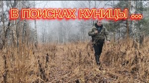 ПОИСК ПУШИСТОГО ЗВЕРЯ . НОВЫЙ СОЛОНЕЦ ДЛЯ ЛОСЕЙ . СОБРАЛ ЧАГУ . НОВЫЕ ЗЕМЛИ .