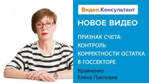 Признак счета: контроль корректности остатка в госсекторе | Смотрите семинар на Видео.Консультант