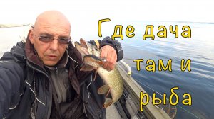 ЩУКА рядом с ДОМОМ. И не надо никуда ездить.