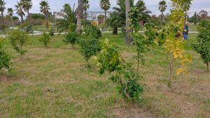 Сириус. Орнитологический парк.