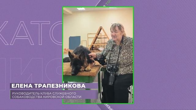 Точка Зрения| Запрет содержания опасных пород собак