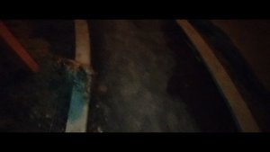 Мы идём гулять с собакой! | 11-авг-2024