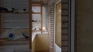 Аренда на длительный срок 2-х комн.квартиры. Адрес: СПб, Светлановский пр., д.35