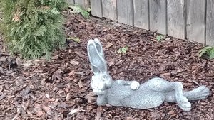 26 октября 2025г. Дачные дела за неделю. Огород на подоконнике.