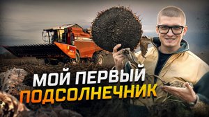 КОНЕЦ УБОРОЧНОЙ 2025! Убираем Подсолнечник. Как это было?