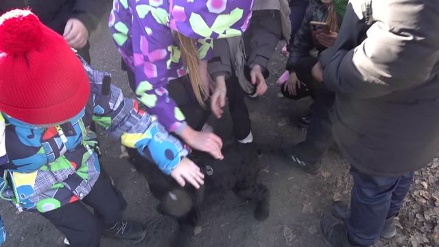 Территория 02 | 24 10 2025 смотреть онлайн