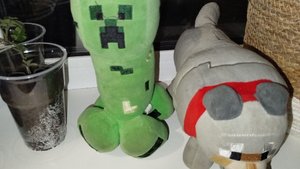 КТО ТАКИЕ СОБАКА ДЭНИС И КРИПЕР КРИПОНЯ РАССКАЗ И ПОДРОБНОСТИ