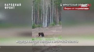 Новости "360 Ангарск" выпуск от 27.10.2025