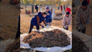 Планёрное совещание 27.10