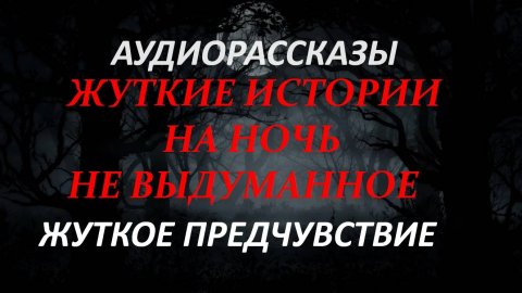 ЖУТКИЕ ИСТОРИИ НА НОЧЬ-ЖУТКОЕ ПРЕДЧУВСТВИЕ