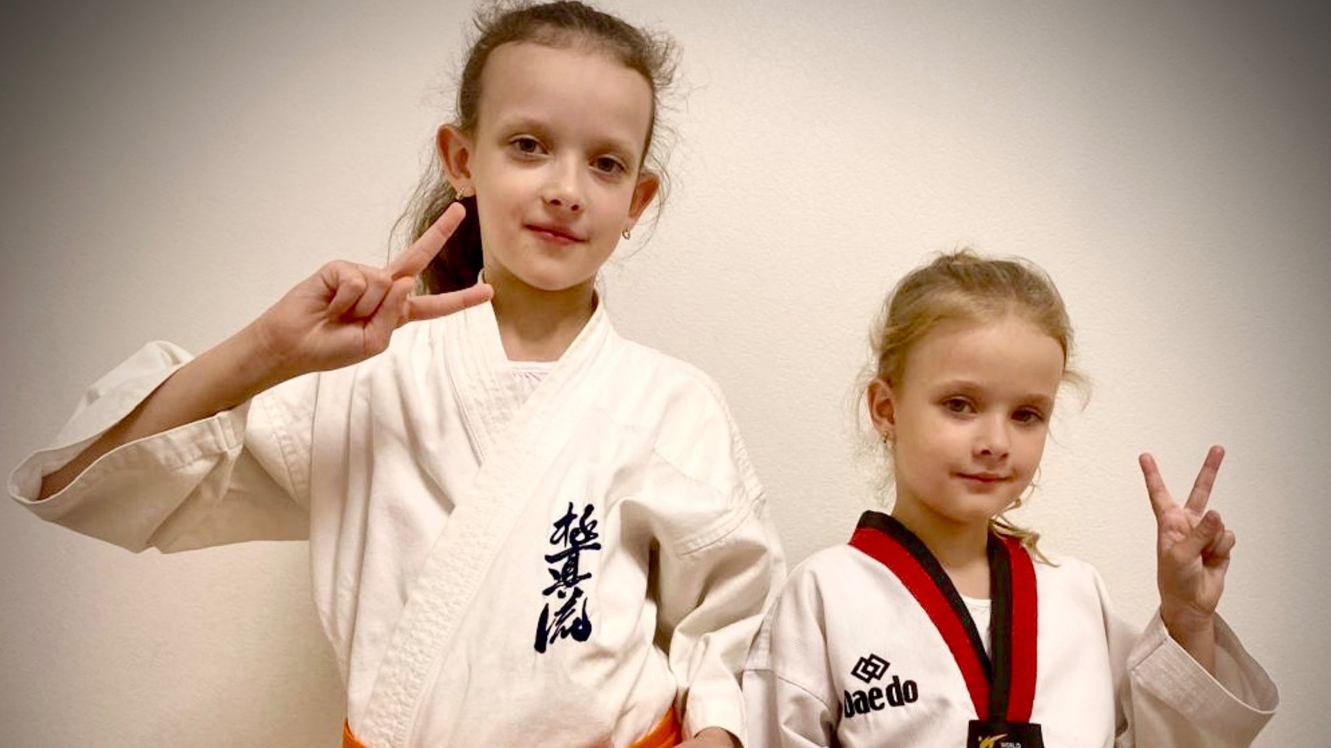 Kyokushin-Ryu vs Taekwondo wtf смотреть онлайн