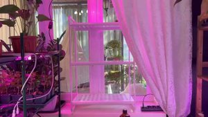 Наводим порядок и добавляем свет на маленькой, кухонной плантации.