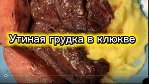 Утиная и куриная грудка в клюкве и вине в аэрогриле.