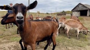 Лунная долина